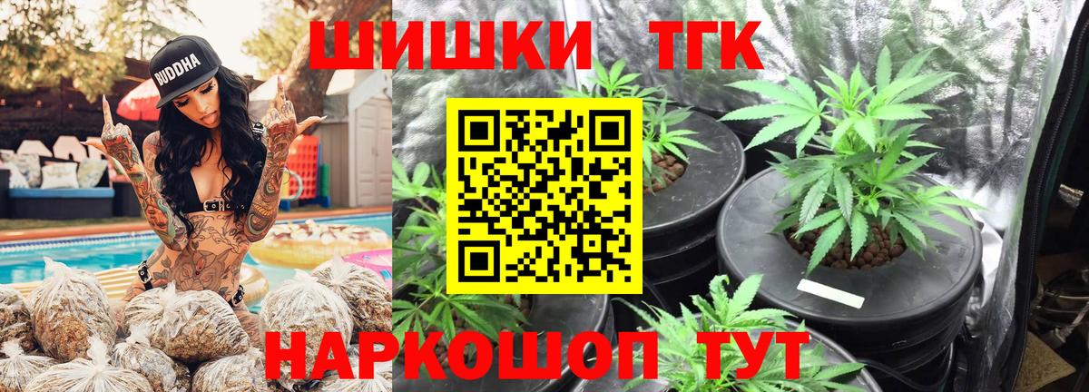 Канабис план Дмитров